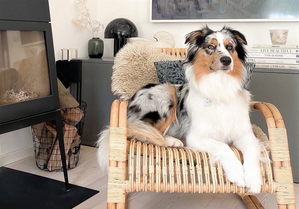 The perfect spot for an afternoon rest