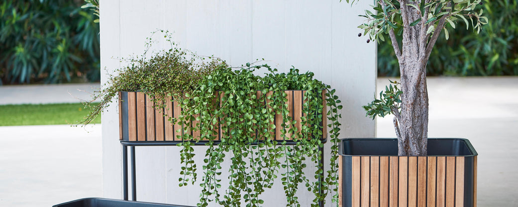 Indoor planters