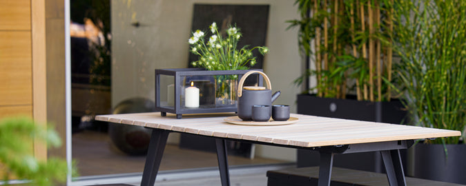 Modern table with black lantern, teapot, and cup surrounded by greenery.