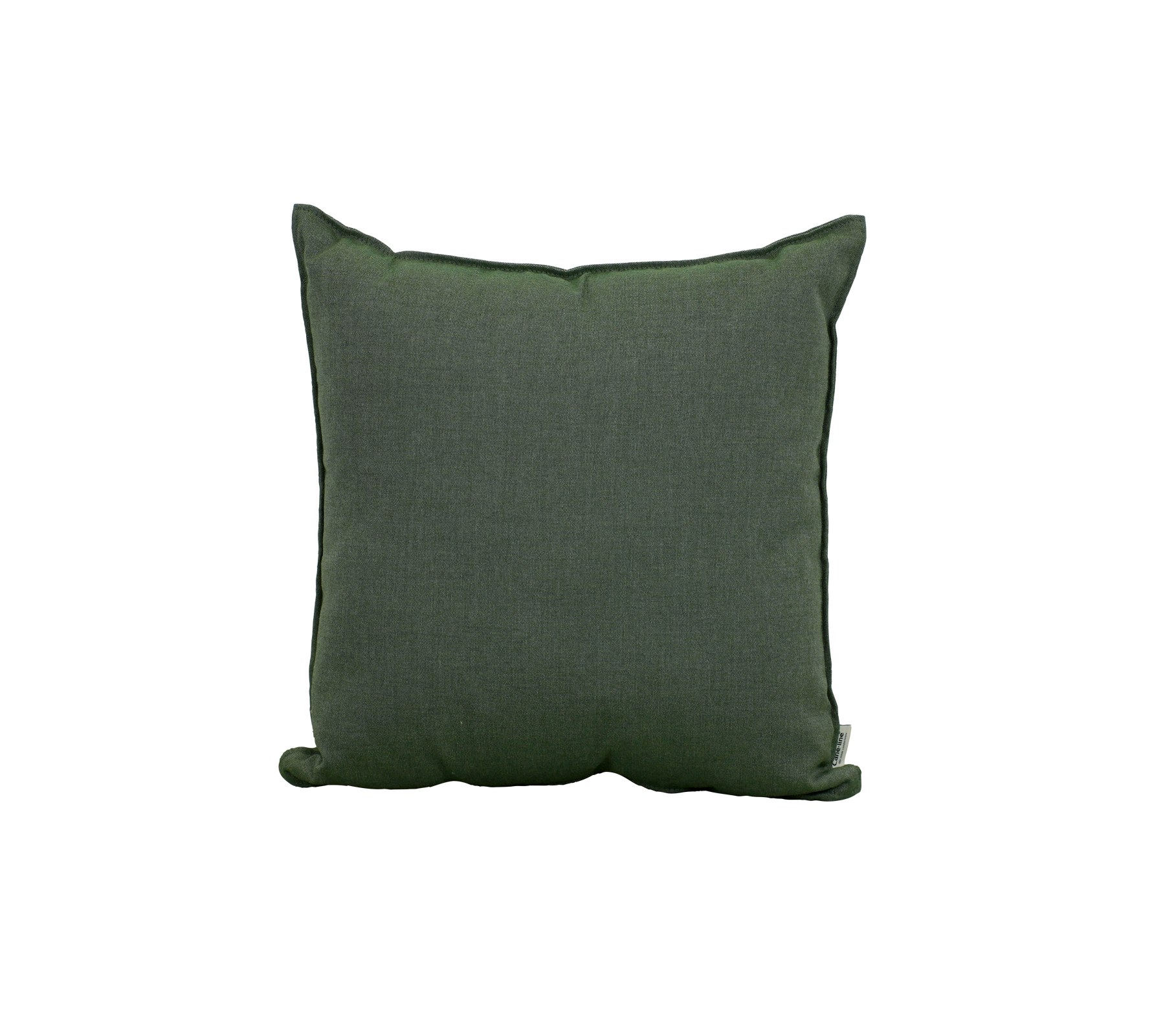 Green cushion with a simple design.