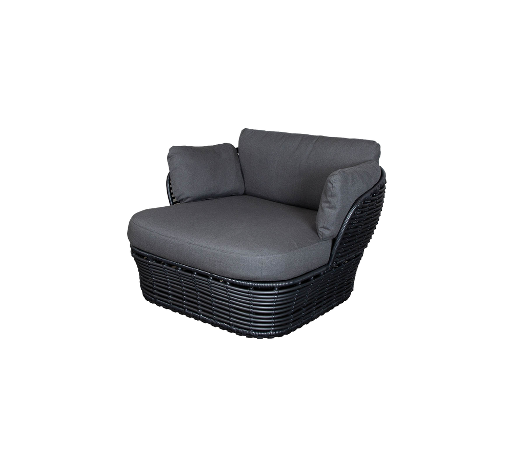 Basket lounge chair