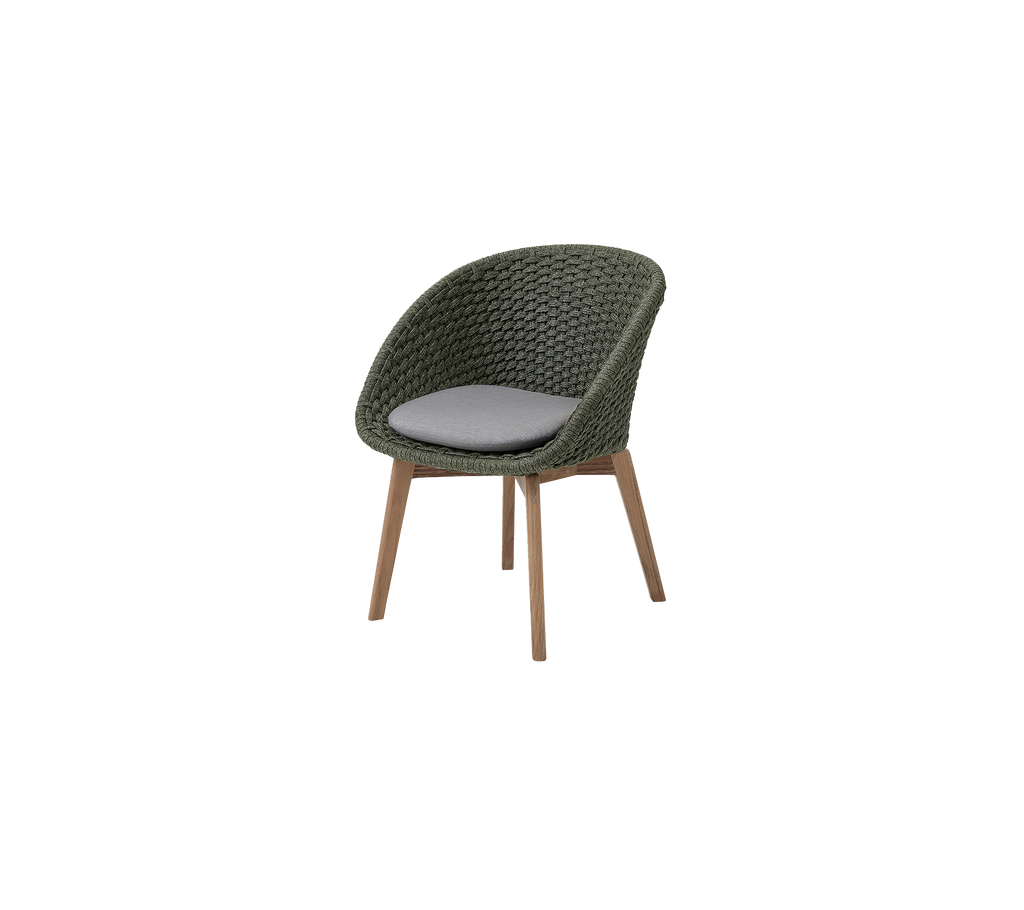 Peacock chair