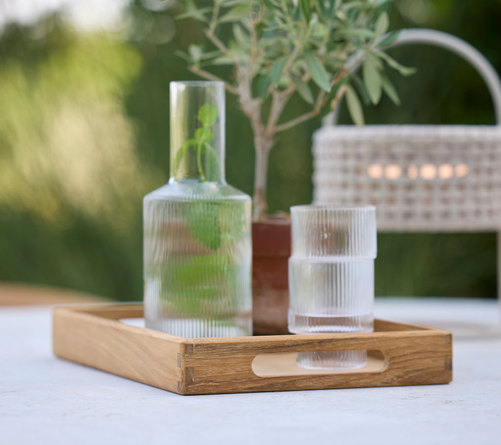 Glass carafe and tumbler on a wooden tray with greenery in a modern setting.