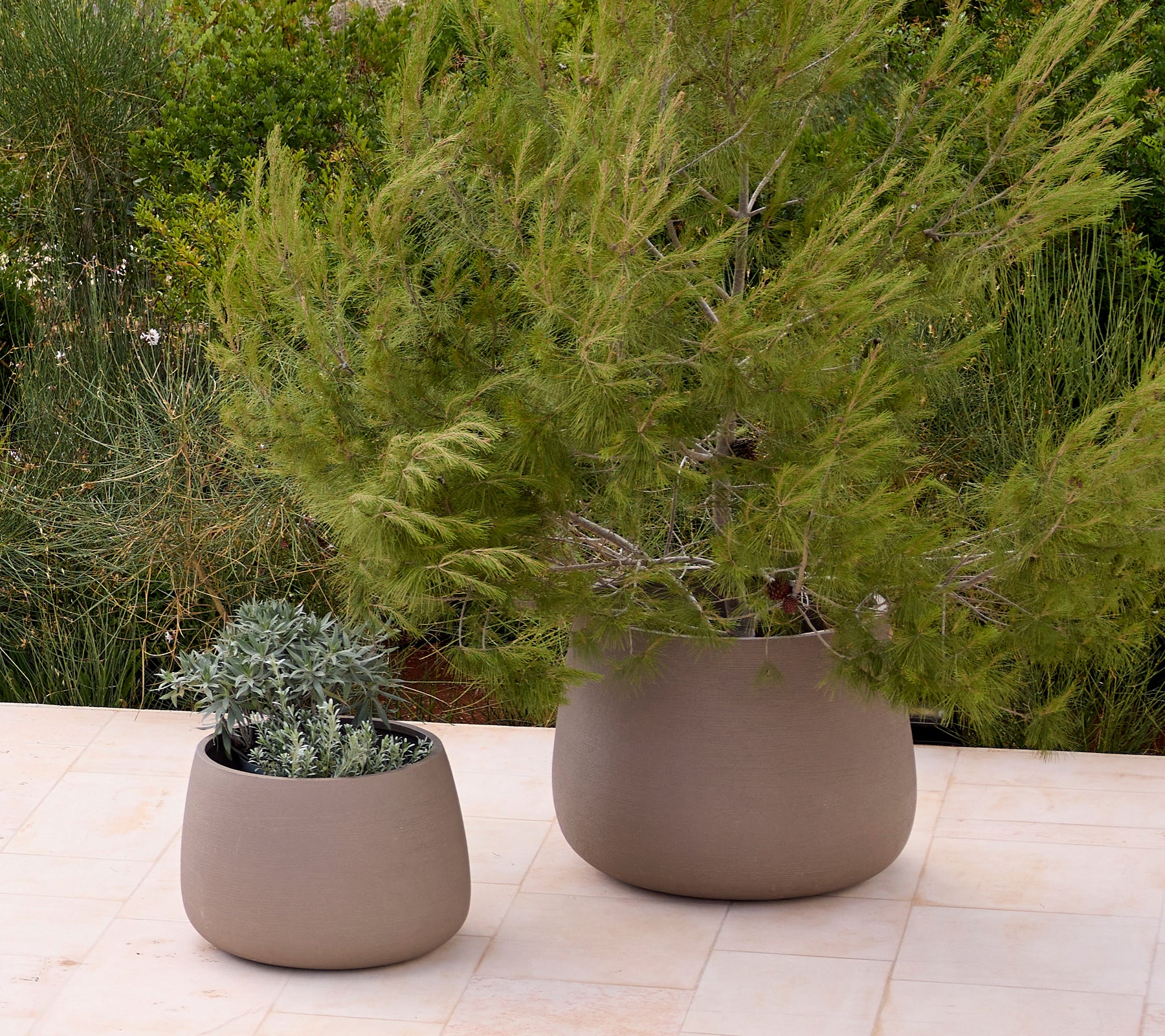 Two modern grey planters with greenery in an outdoor garden setting.